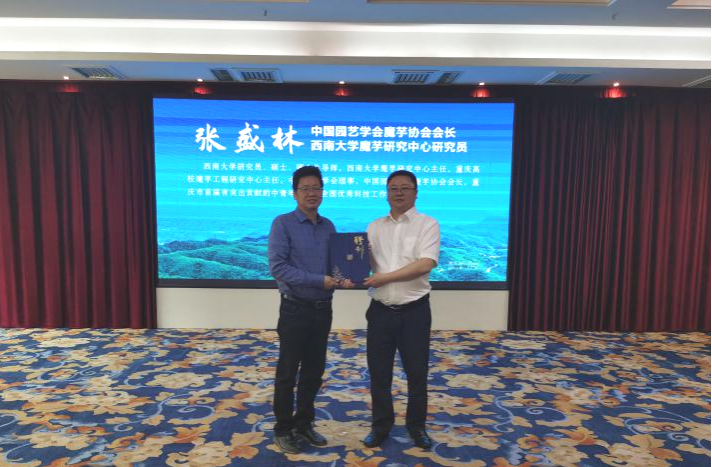 pa视讯官方集团