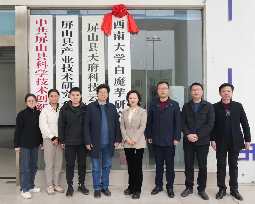 pa视讯官方集团