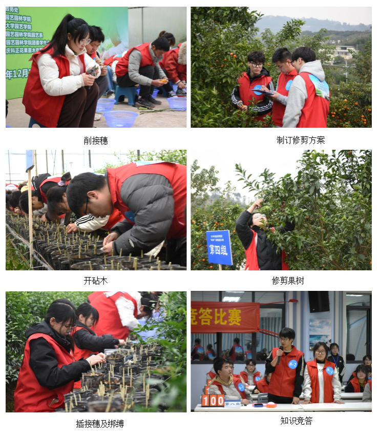 pa视讯官方集团