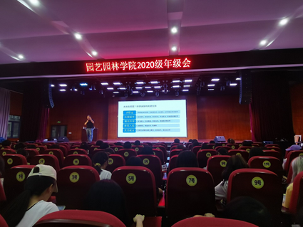 pa视讯官方集团