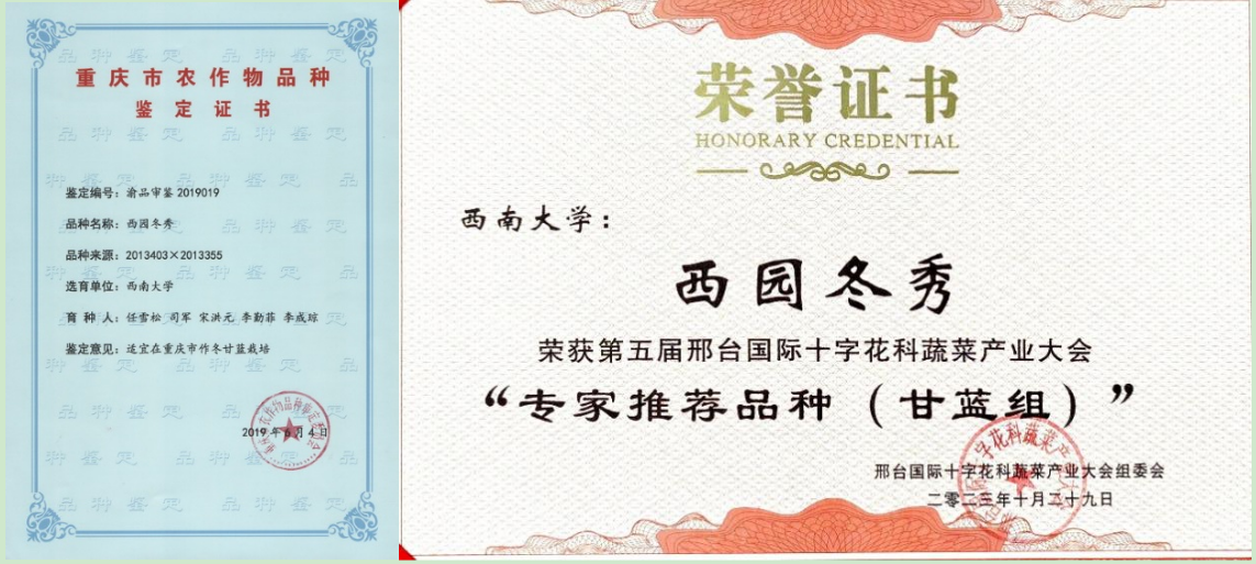 pa视讯官方集团