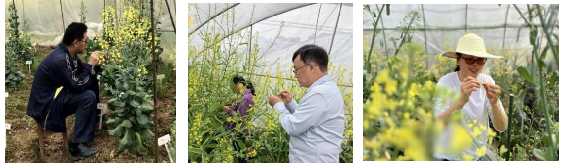 pa视讯官方集团