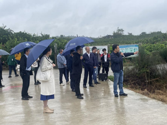 pa视讯官方集团