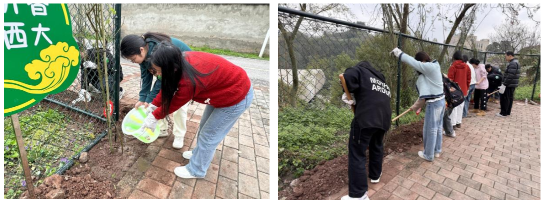 pa视讯官方集团