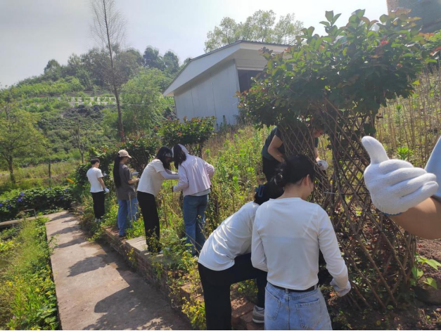 pa视讯官方集团