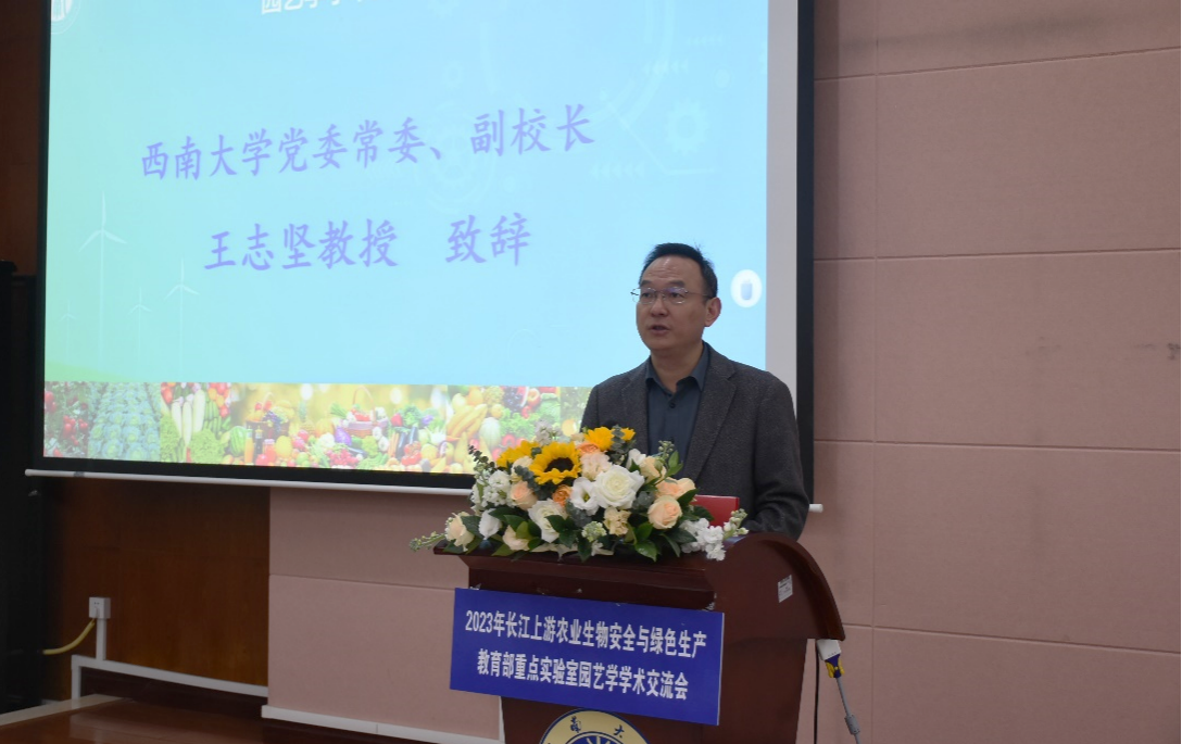 pa视讯官方集团