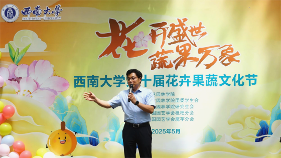 pa视讯官方集团