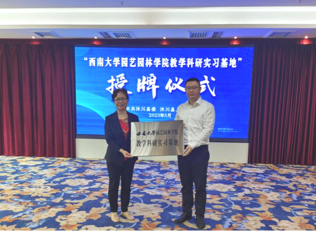 pa视讯官方集团