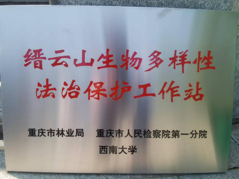 pa视讯官方集团