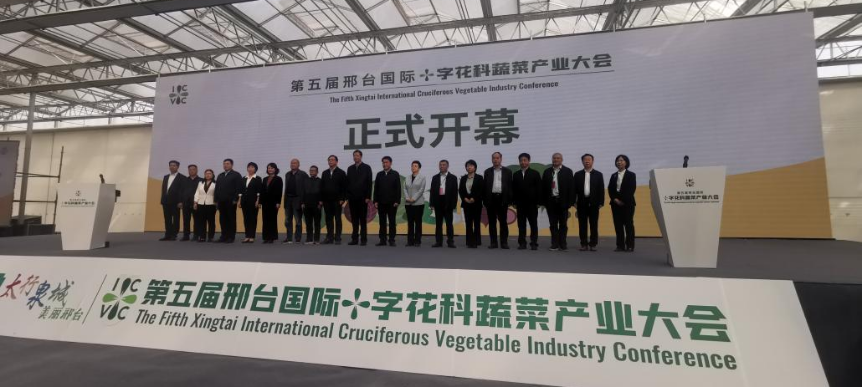 pa视讯官方集团