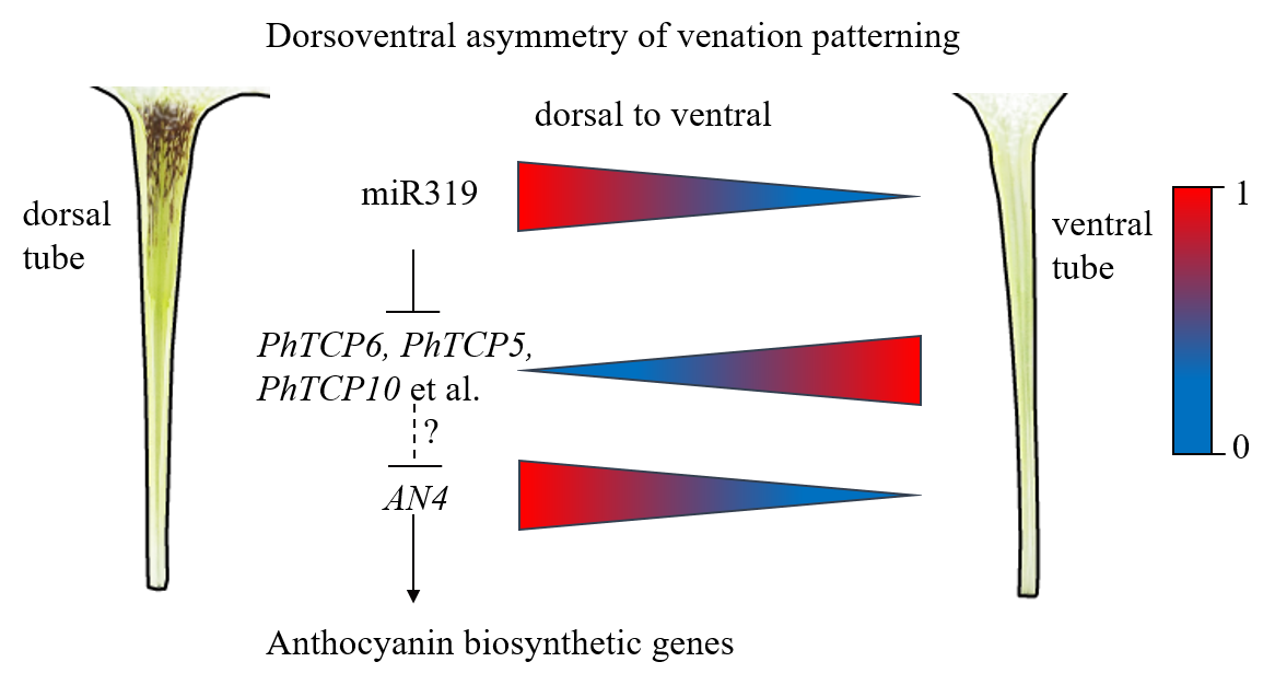 pa视讯官方集团