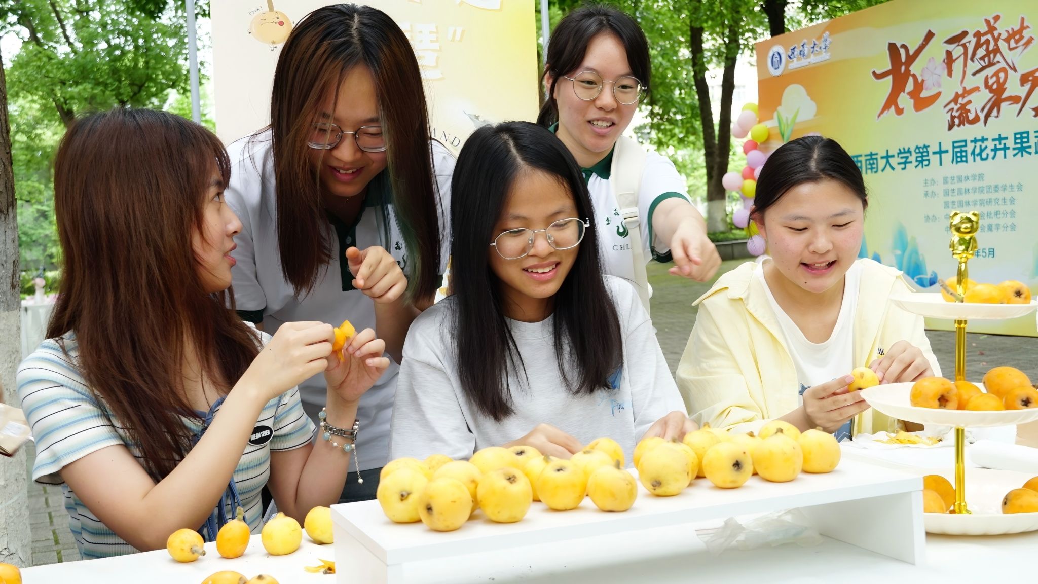 pa视讯官方集团