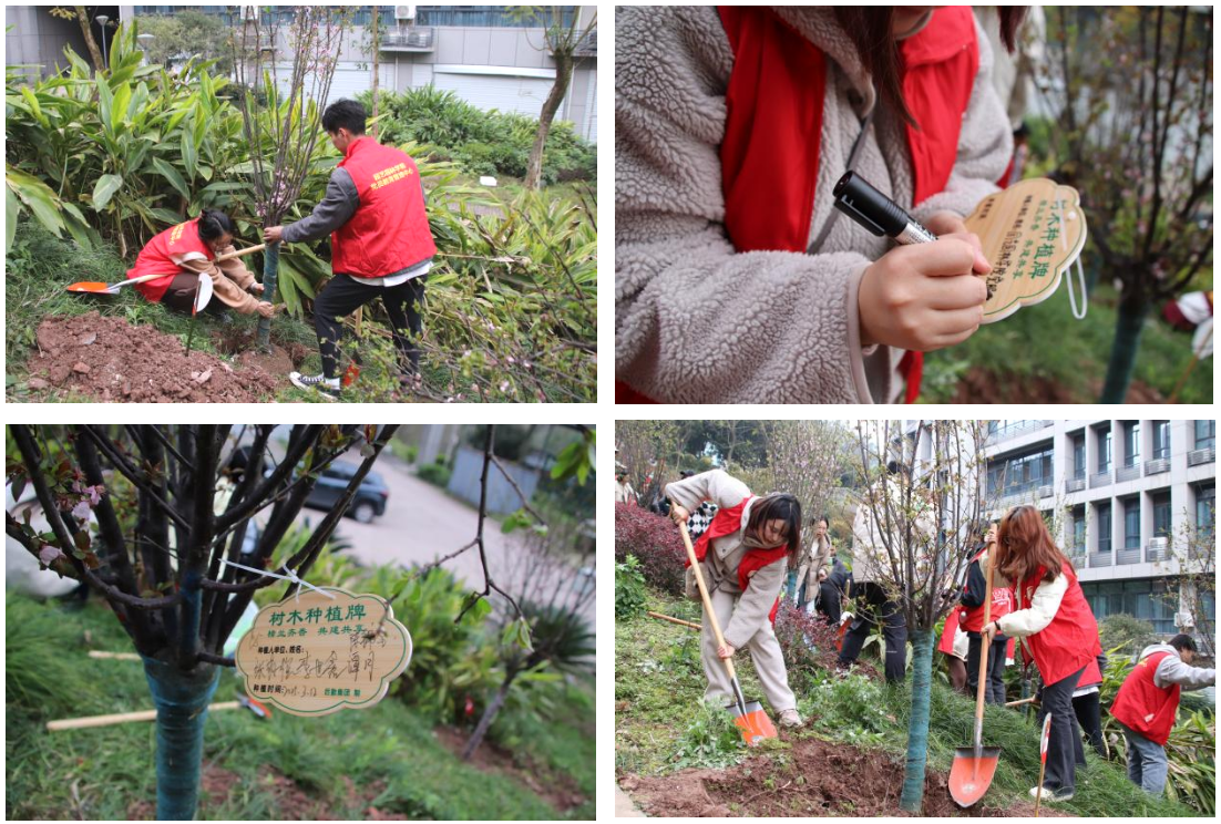 pa视讯官方集团