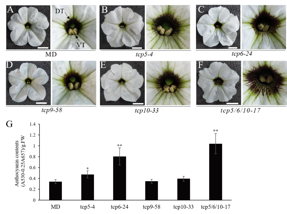 pa视讯官方集团