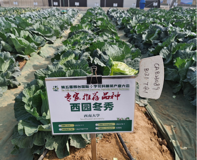 pa视讯官方集团