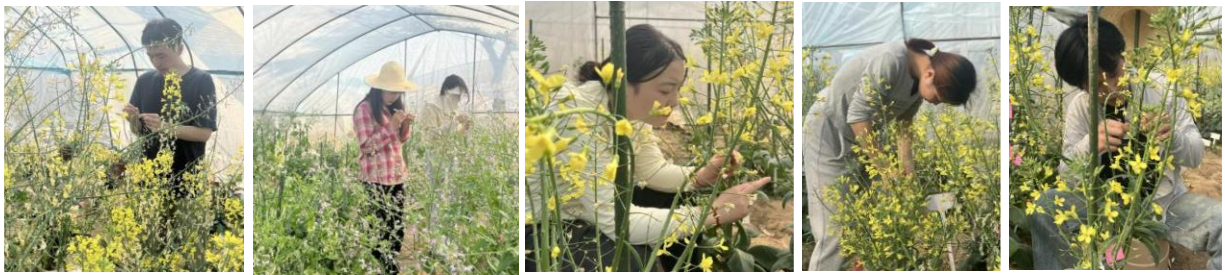 pa视讯官方集团