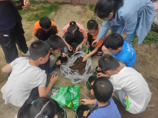 pa视讯官方集团