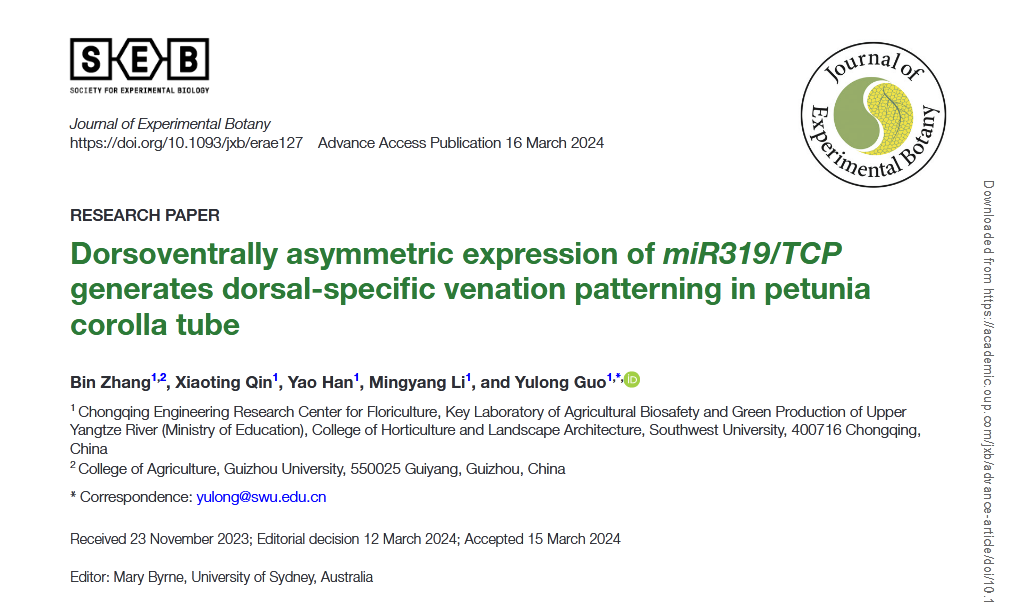 pa视讯官方集团