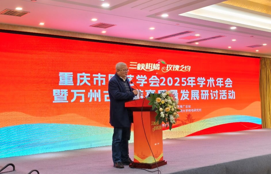 pa视讯官方集团