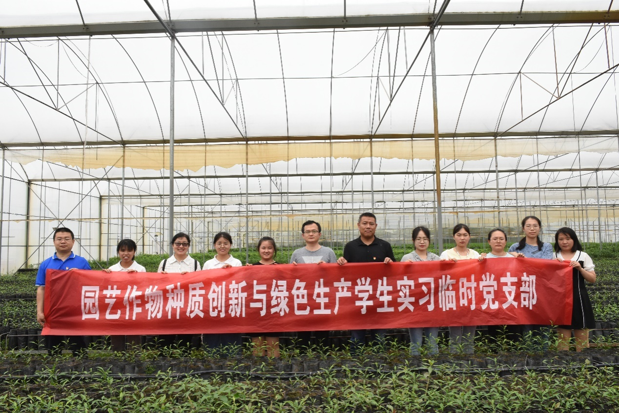 pa视讯官方集团